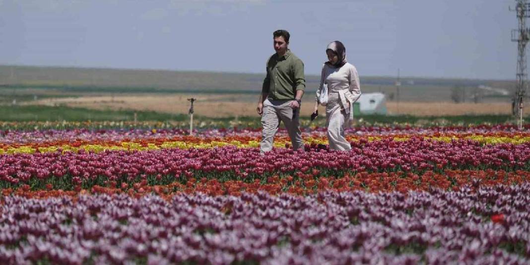 Akın akın Karaman'a gittiler: 2 günde ziyaretçi sayısı 30.000’e ulaştı 3